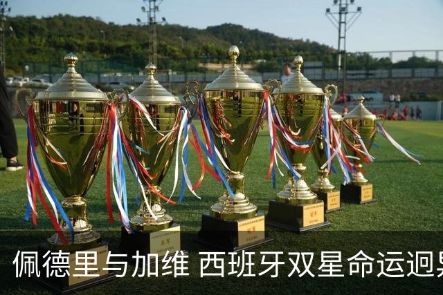佩德里与加维 西班牙双星命运迥异：天赋需要健康来承载